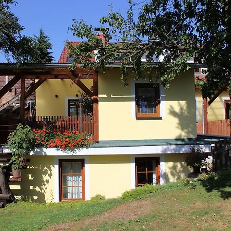 Apartamento Penzion Gomelská Horní Stropnice Exterior foto